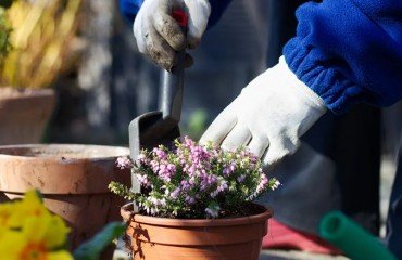 que faire en février au balcon