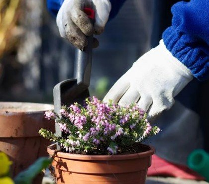 que faire en février au balcon