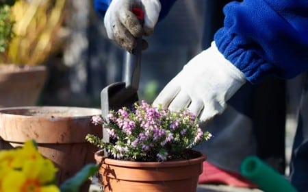 que faire en février au balcon