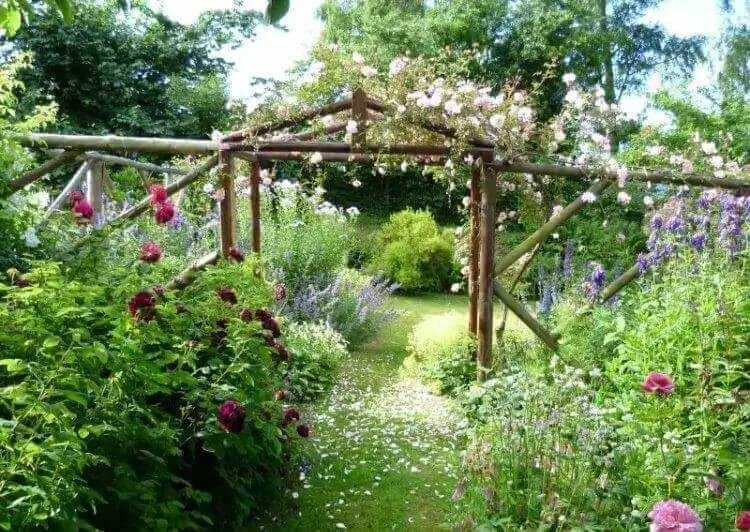 que planter au jardin est plantes potagères ornementales selon exposition