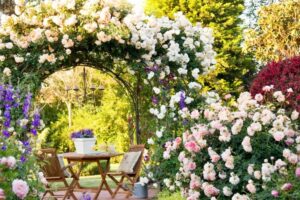 quel rosier choisir nombreuses variétés roses grimpantes déclinent différentes couleurs parfums