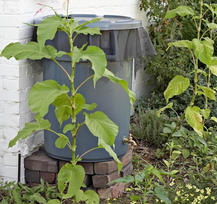 récupérateur eau de pluie pas cher à fabriquer