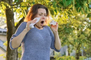 symptomes allergie aux pollens quel traitement naturel idées remèdes soulager le rhume des foins