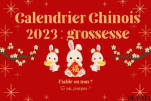 calendrier chinois 2023 grossesse