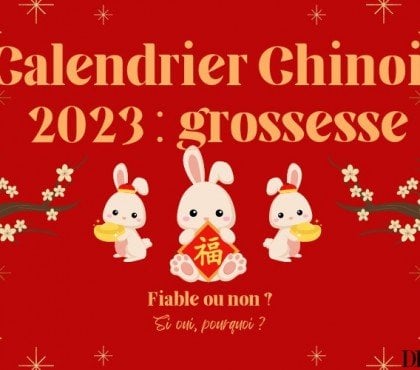 calendrier chinois 2023 grossesse