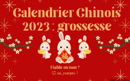 calendrier chinois 2023 grossesse