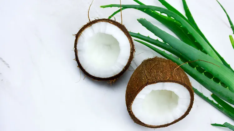 Comment utiliser l'huile de coco sur les cheveux Aloe Vera masque recette
