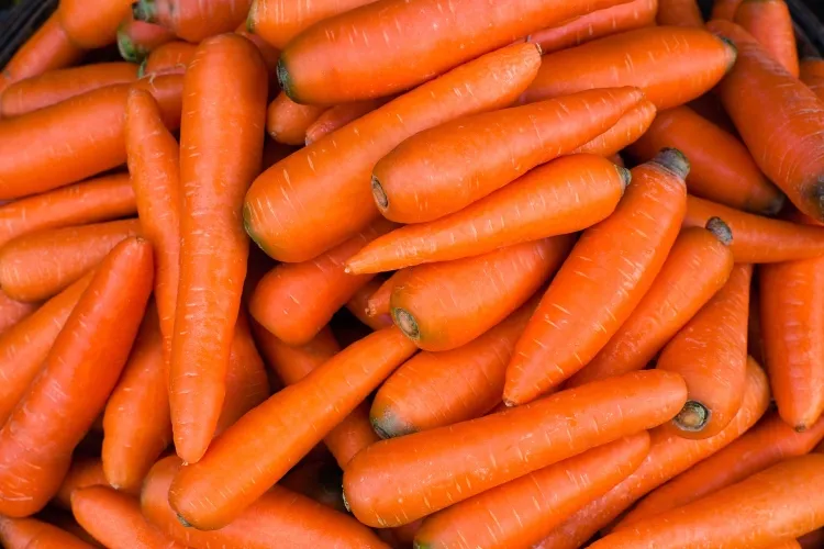aliments moisis qu on peut manger carottes