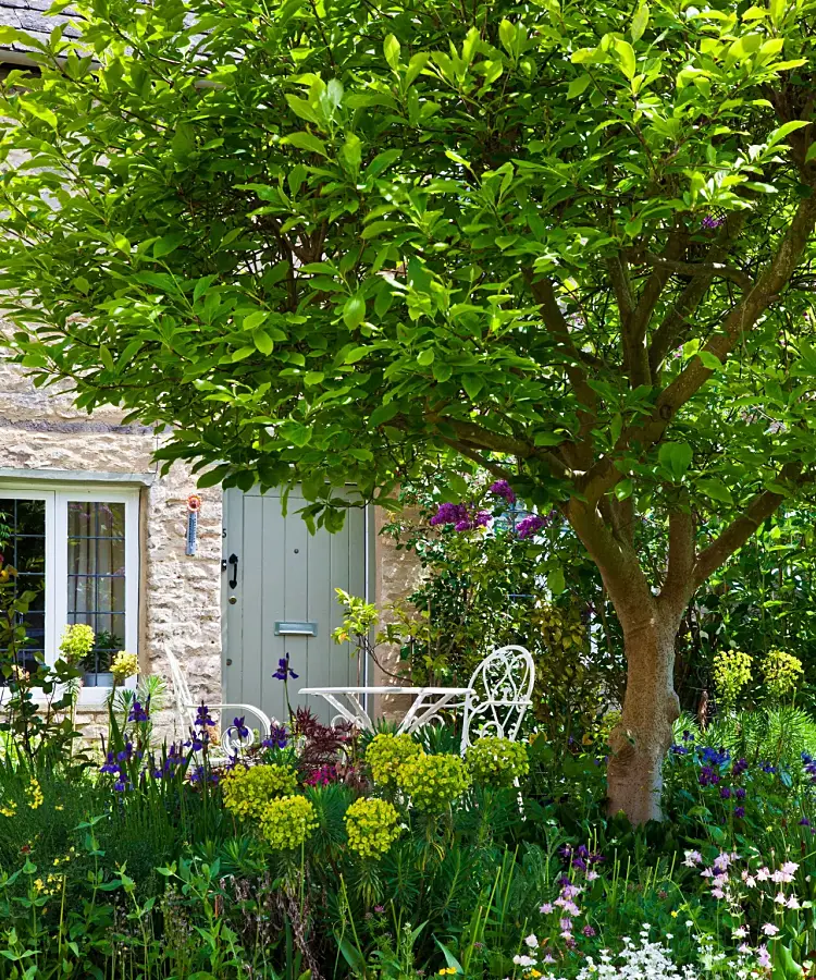 aménagement extérieur banc arbre vert fleurs maison cour devant chaises meubles