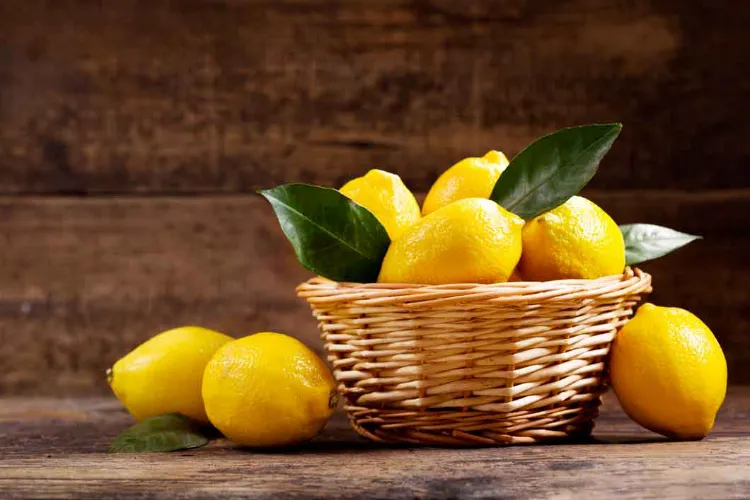 comment conserver les citrons à maturité