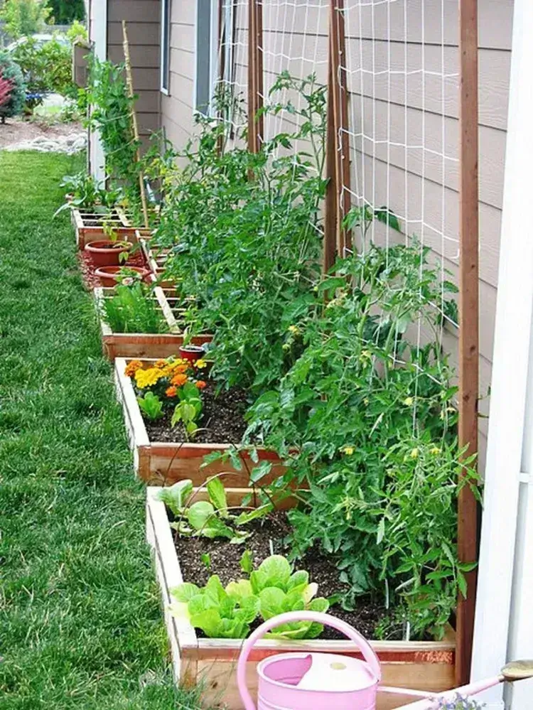 comment créer petit jardin potager quelques mètres carrés conseils culture bacs