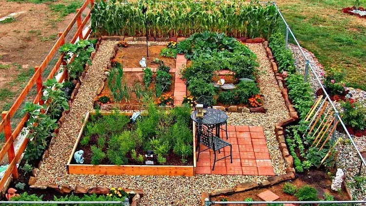 comment créer petit jardin potager quelques mètres carrés conseils terrasse