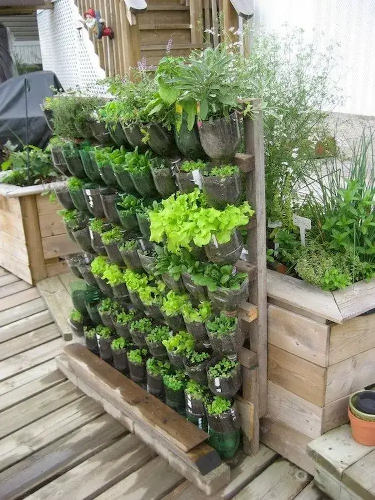 comment créer un petit jardin potager quelques mètres carrés conseils terrasse