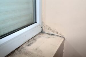 comment enlever la moisissure découvrir sources humidité utiliser déshumidificateur