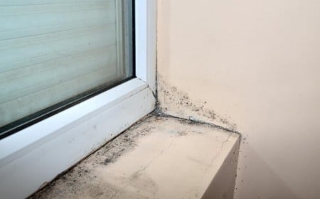 comment enlever la moisissure découvrir sources humidité utiliser déshumidificateur