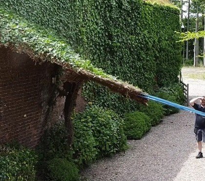 comment enlever les racines de lierre sur un mur maison plante
