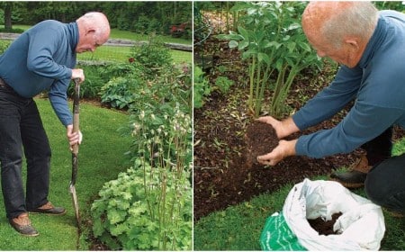 comment faire bordure de jardin soi meme étapes faciles