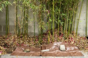 comment se débarrasser des bambous créer barrière sacs plastique bâches bois béton