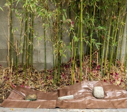 comment se débarrasser des bambous créer barrière sacs plastique bâches bois béton