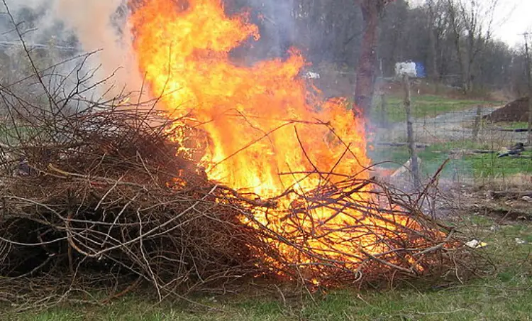 conséquences de la combustion des déchets verts feu jardin