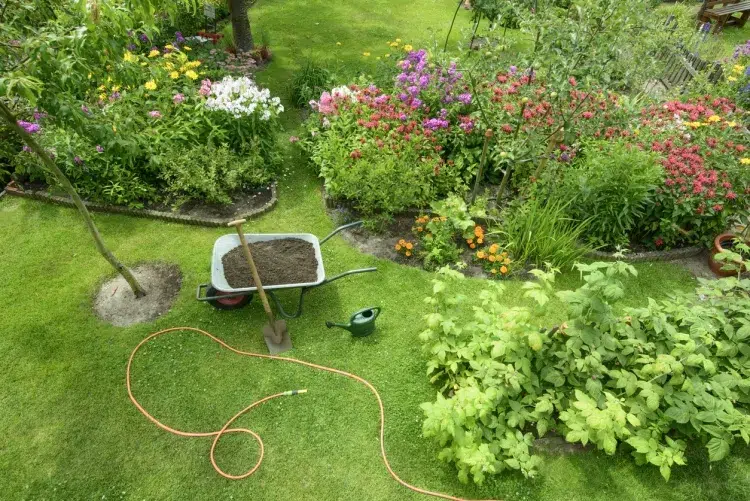 entretien gazon printemps belle pelouse complète reste jardin suppose travail assidu