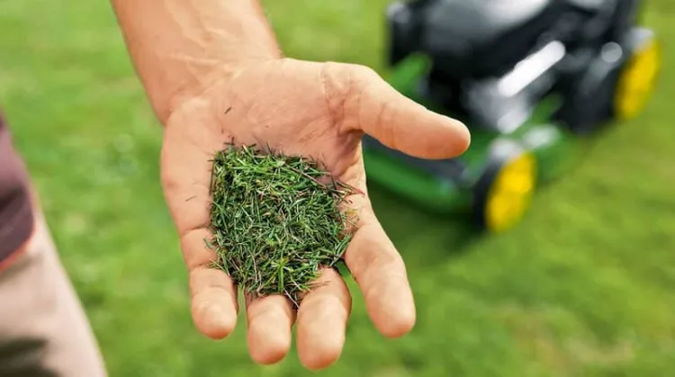 mulching gazon définition vidéo comment mulcher sa pelouse paillage engrais naturel