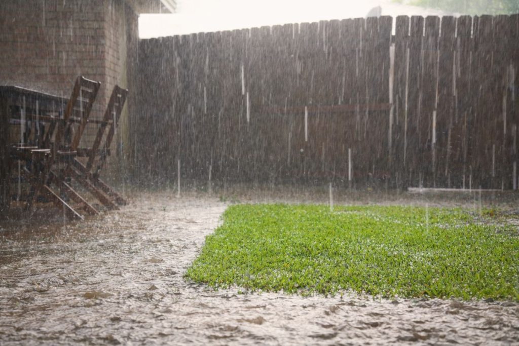 peut on semer du gazon sous la pluie