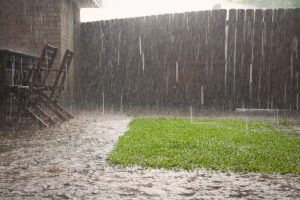 peut on semer du gazon sous la pluie