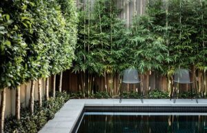 plante brise vue terrasse artificielle jardin verdure