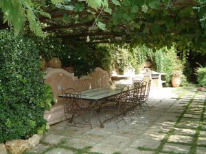 plante grimpante ombre pergola jardin été soleil
