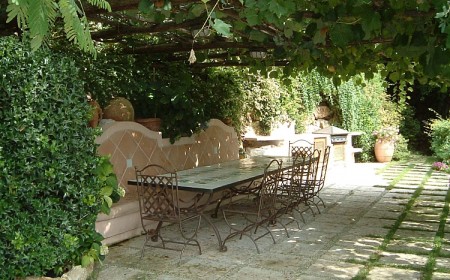 plante grimpante ombre pergola jardin été soleil