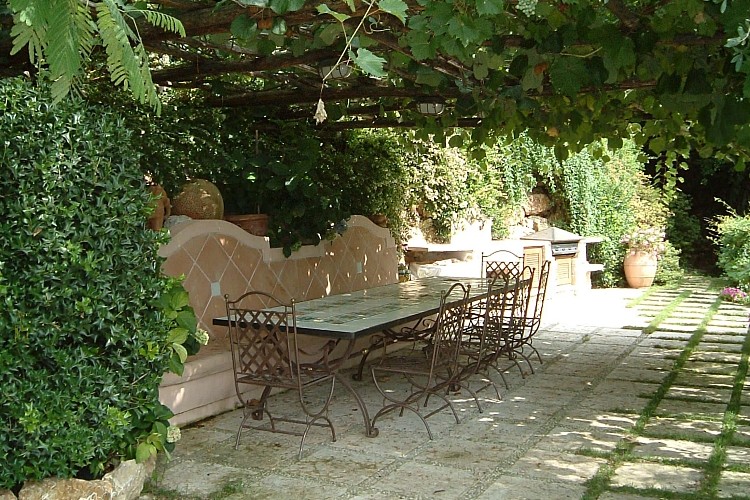 plante grimpante ombre pergola jardin été soleil
