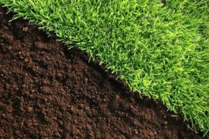 pourquoi utiliser chaux sur gazon