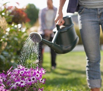 quand et comment bien arroser les plantes au jardin ou au balcon au printemps été 2023 trucs astuces arrosage