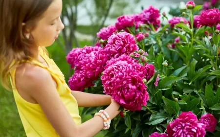 quand et comment tailler les pivoines au printemps conseils astuces comment faire pour avoir de belles pivoines