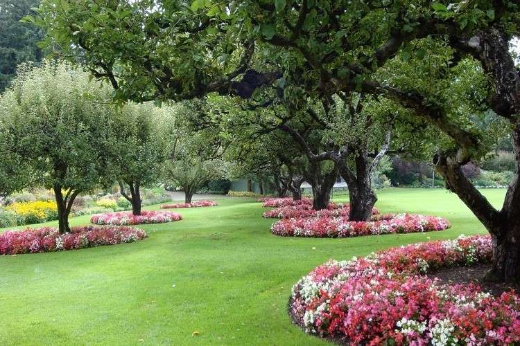 que planter au pied des arbres en mars avril