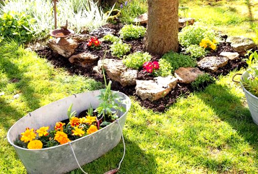 que planter au pied des fruitiers