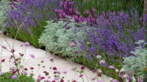que planter en bordure d'allée jardin végétale verte originale idées plantes vivaces à planter ce printemps 2023