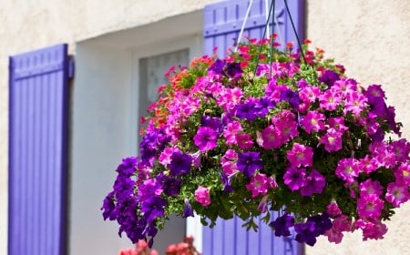 que planter en mars sur le balcon pour sublimer la décoration extérieure