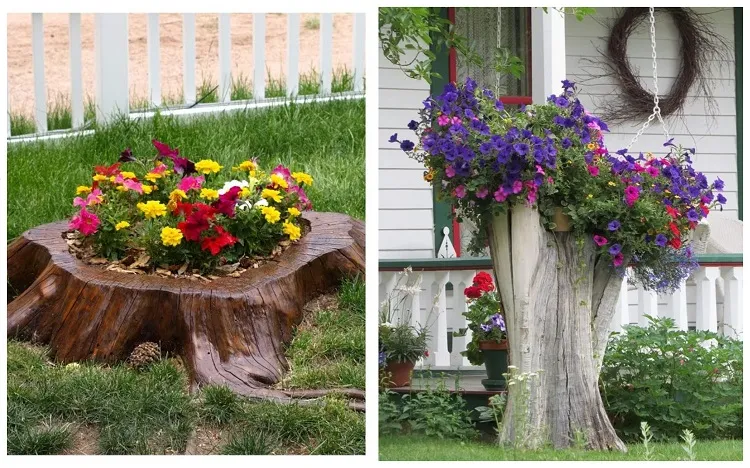 quelle fleur dans souche d'arbre pour la camoufler idée bricolage jardin