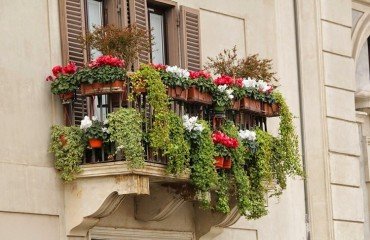 quelles plantes brise vue balcon terrasse pour se protéger du vis a vis voisins