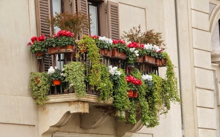 quelles plantes brise vue balcon terrasse pour se protéger du vis a vis voisins
