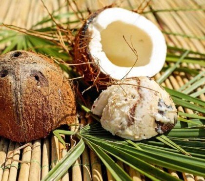 quels fruits font grossir noix de coco
