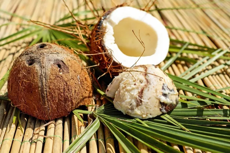 quels fruits font grossir noix de coco