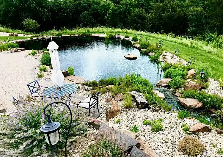 réaliser un projet simple pour un bassin naturel de baignade jardin astuces liste idées