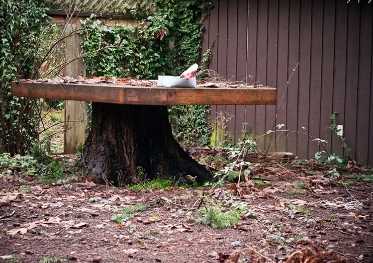 table tronc d'arbre diy