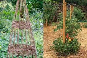 comment fabriquer un tuteur pour plante