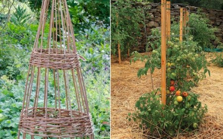 comment fabriquer un tuteur pour plante