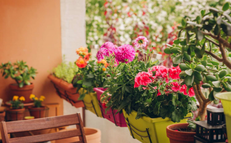 quelles plantes pour une terrasse à l’ombre top 5 fleurs exterieur