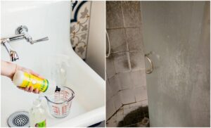 astuces comment nettoyer porte vitrée douche calcaire rapidement produits naturels